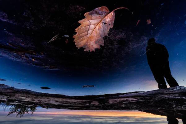 The True Value In Photography: 1 Meaning, Impact, and Importance in the Modern World